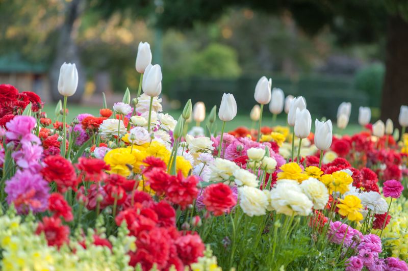 Floral Landscaping