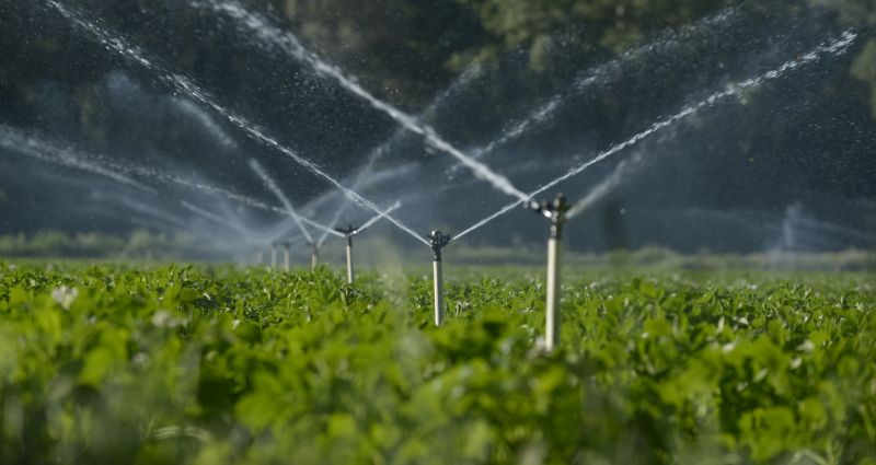 Irrigation System