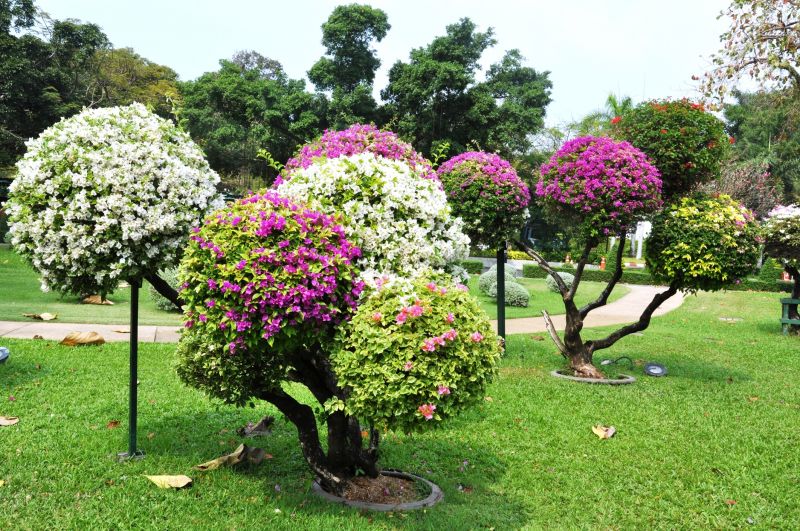 Floral Landscaping