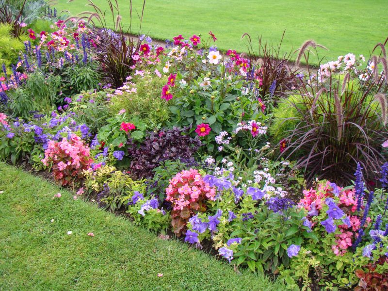 Colorful Flower Beds
