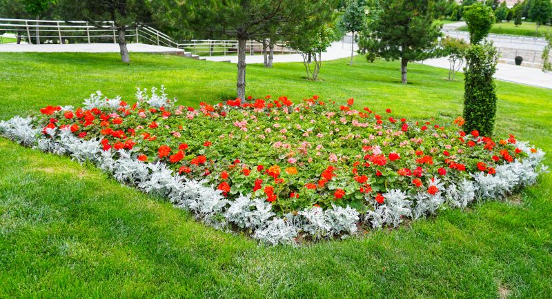 Decorative Plant Arrangements